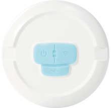 Bedienelement mit Ein-Aus-Symbol, Verbindungszeichen und Blitzsymbol