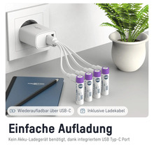 Ansmann USB-C Ladegerät mit vier AAA Akkus und Ladekabel