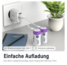 Ansmann C-Akkus mit USB-C-Ladekabel und Netzteil