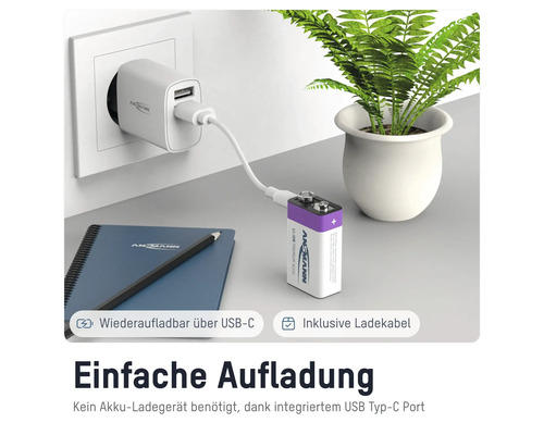 Ansmann USB-C Ladegerät mit 9-Volt-Akku und USB-Ladekabel