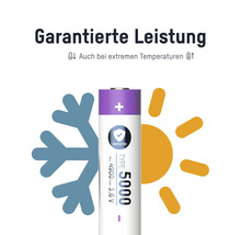 Batterie mit Leistung unter extremen Temperaturen