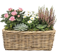 Arrangement floral avec roses, marguerites, bruyère et plantes grasses dans un panier en osier