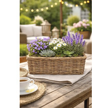 Dekoratives Arrangement aus verschiedenen Pflanzen in einem rechteckigen Korb auf einem Holztisch