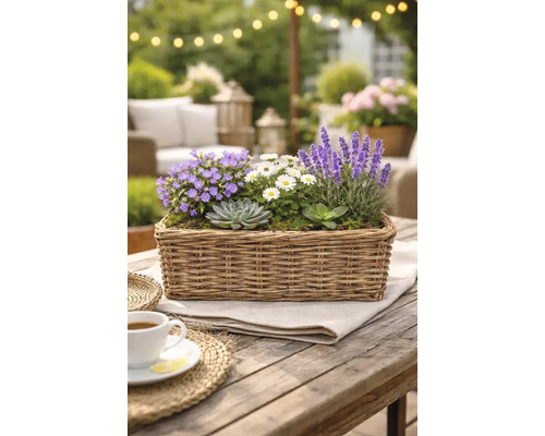 Dekoratives Arrangement aus verschiedenen Pflanzen in einem rechteckigen Korb auf einem Holztisch