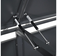 Vue détaillée d'une remise à outils avec des ressorts à gaz