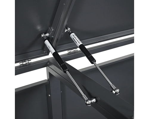 Vue détaillée d'une remise à outils avec des ressorts à gaz