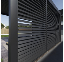 Paroi à lamelles pour l'aménagement du jardin et comme brise-vue