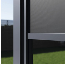 Vue détaillée d'un store anti-insectes