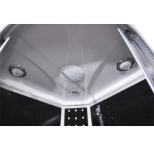 Vue intérieure d'une cabine de douche avec éclairage au plafond et pommeau de douche