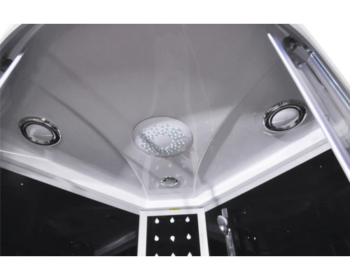 Vue intérieure d'une cabine de douche avec éclairage au plafond et pommeau de douche