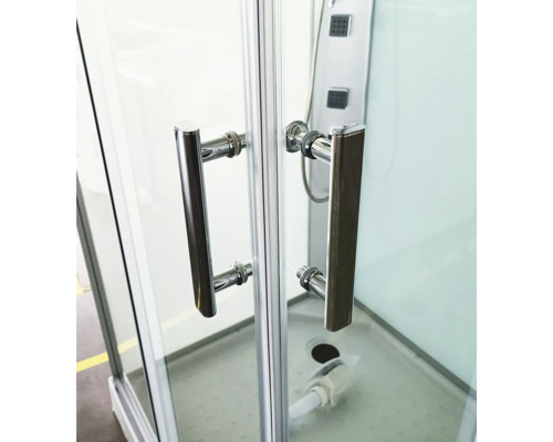 Duschkabine mit Griffen und Duschpaneel