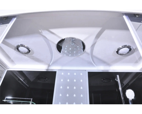 Vue intérieure d'une cabine de douche avec pommeau de douche et éclairage au plafond