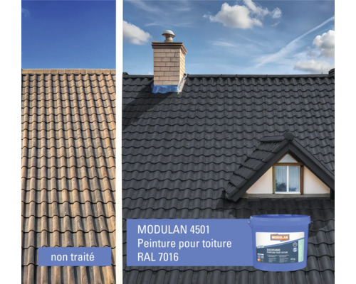 Vue avant-après d'un toit peint avec la peinture pour toiture Modulan 4501 RAL 7016