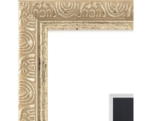 Verzierter Bilderrahmen