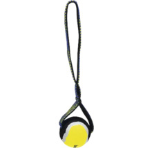 Hundespielzeug Ball mit Seil