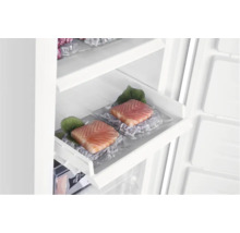 Innenansicht eines Gefrierschranks mit Lachs auf Eis in einer Gefrierschublade.