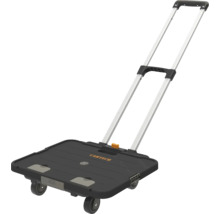CARTECH Transportroller mit Teleskopgriff