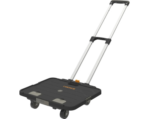 CARTECH Transportroller mit Teleskopgriff