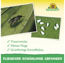 Trauermücke, Weisse Fliege und grünfleckige Kartoffelblattlaus auf Blättern dargestellt. Neudorff Logo.