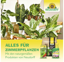 Zimmerpflanzen-Produkte von Neudorff mit Blumenerde, Dünger und Schädlingsbekämpfungsmittel zwischen Zimmerpflanzen
