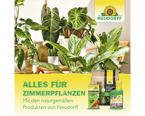 Zimmerpflanzen-Produkte von Neudorff mit Blumenerde, Dünger und Schädlingsbekämpfungsmittel zwischen Zimmerpflanzen