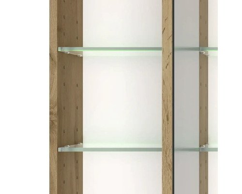 Intérieur d'armoire avec étagères en verre, éclairage intégré et parois latérales aspect bois.