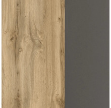 Vue de surface d'une combinaison de façades en décor chêne clair avec veinage et une surface lisse gris foncé.