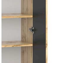 Vue détaillée de l'intérieur d'un meuble avec des étagères aspect bois et une charnière métallique sur la porte sombre.