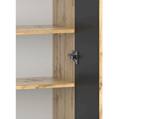 Vue détaillée de l'intérieur d'un meuble avec des étagères aspect bois et une charnière métallique sur la porte sombre.