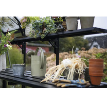Gewächshausregal mit Giesskanne, Pflanzgefässen und Gartenzubehör