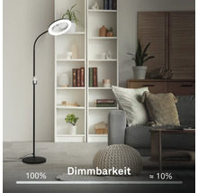 Lampadaire avec ventilateur dans un salon avec un canapé et une bibliothèque