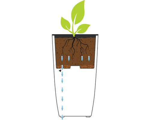 Schéma du système d'arrosage d'un pot de fleurs avec une plante