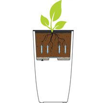 Illustration d'un pot de fleurs avec système d'irrigation et plante