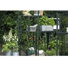 Gewächshausregal mit Pflanzen, Dekorationen und Gartenzubehör im Garten.