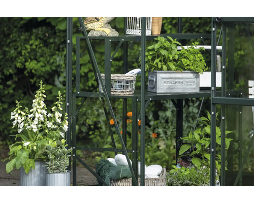 Gewächshausregal mit Pflanzen, Dekorationen und Gartenzubehör im Garten.