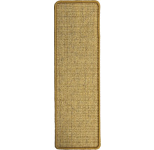 Sisalteppich mit Einfassung