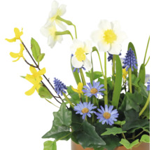 Blumenarrangement mit Narzissen, Traubenhyazinthen und Margeriten im Topf
