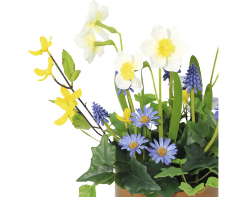 Blumenarrangement mit Narzissen, Traubenhyazinthen und Margeriten im Topf