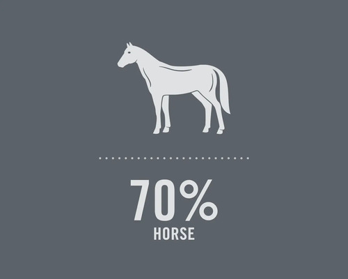 Illustration d'un cheval avec le texte 70 pour cent cheval