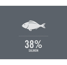 Image symbolique : 38 % de saumon