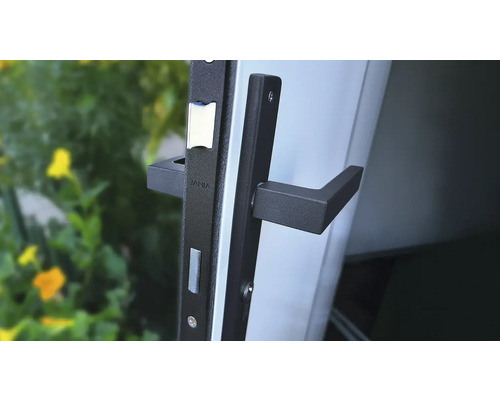 Garniture de porte avec serrure et poignée