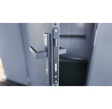 Garniture de porte avec poignée et gâche