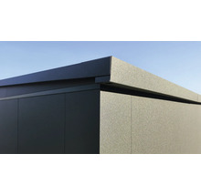 Vue détaillée d'un abri de jardin avec un toit métallique