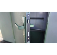 Porte avec ferrures et poignée de porte