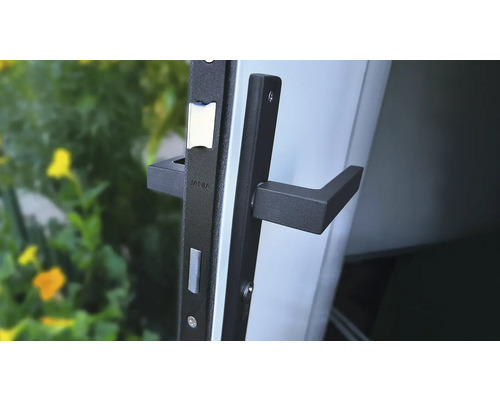 Garniture de porte avec poignée