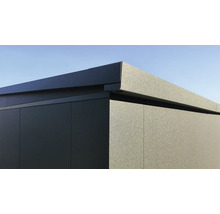 Vue détaillée d'une cabane de jardin avec toit plat