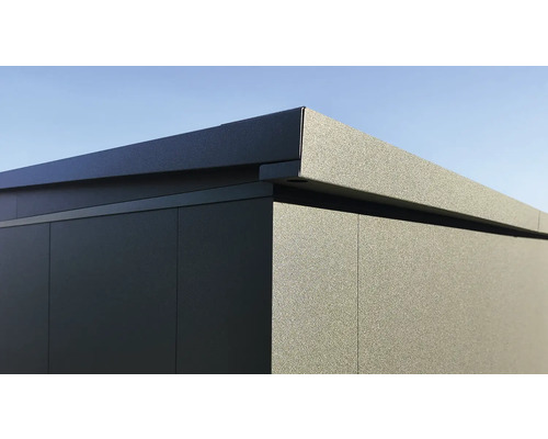 Vue détaillée d'une cabane de jardin avec toit plat