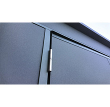 Vue détaillée d'une porte de jardin avec ferrures