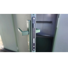 Porte avec poignée de porte et serrure