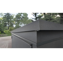 Vue détaillée d'un coffre de rangement extérieur en métal